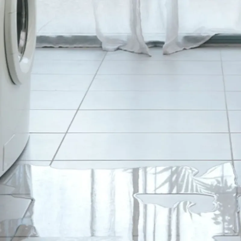 Appliance Leak Cleanup in Rock County, WI