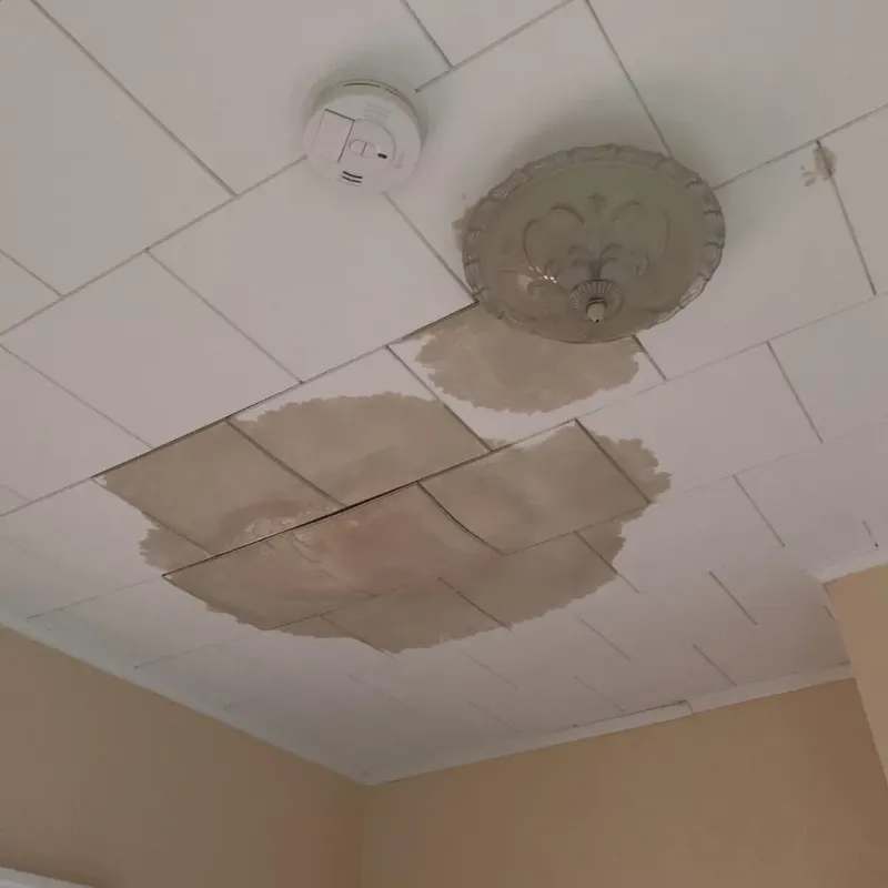 Ceiling Water Damage Repair in Rock County, WI