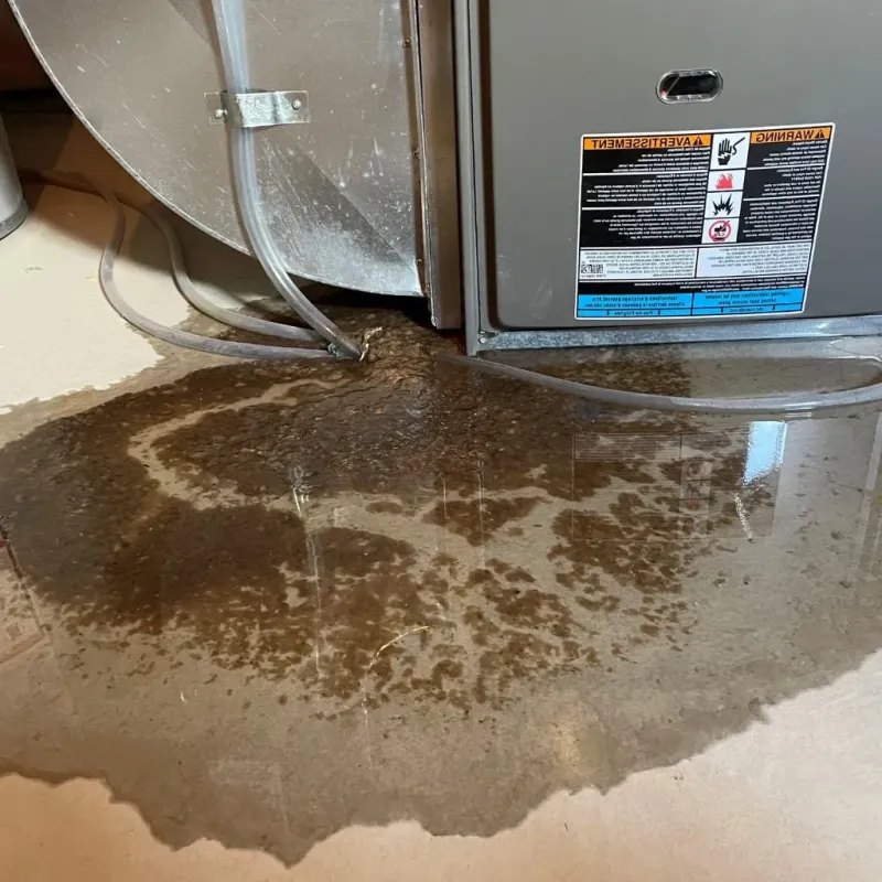 Pipe Burst and Leak Restoration in Rock County, WI