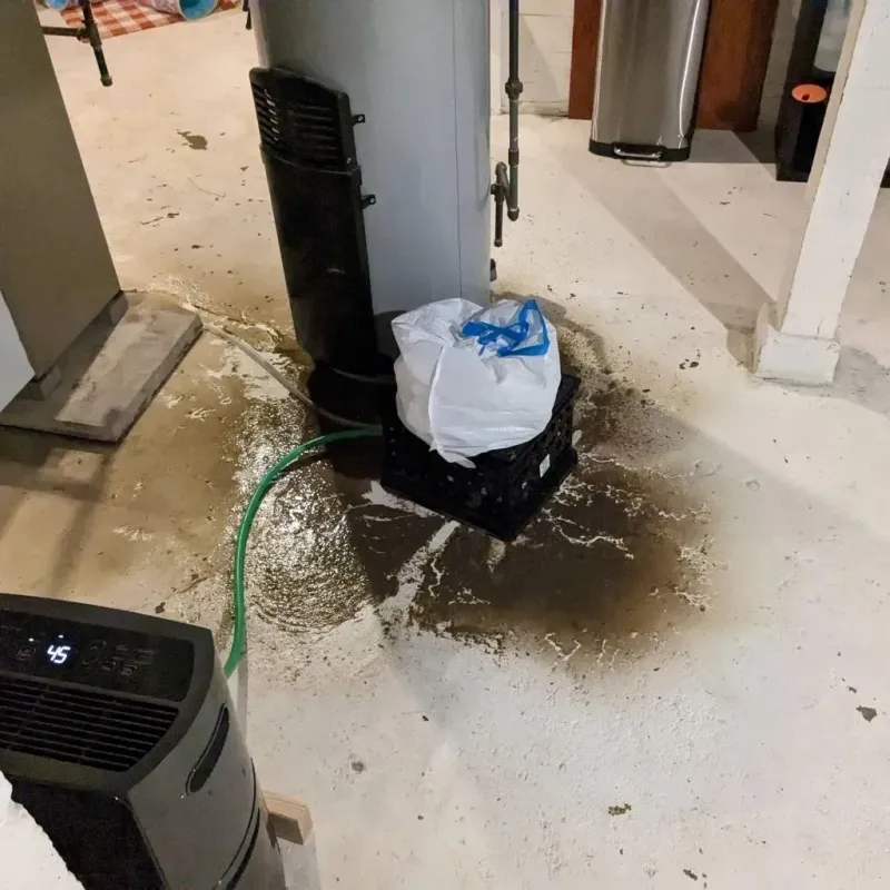 Sewage Backup Cleanup Service in Rock County, WI